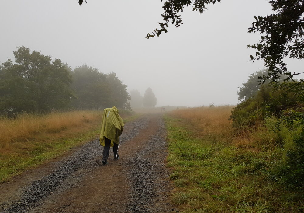 Il mio Cammino di Santiago (da O Cebreiro)